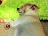 naptime
