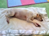 nap_work