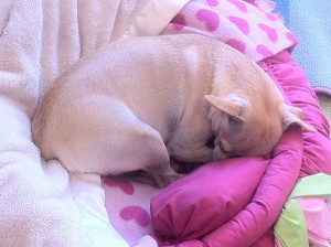 another-nap